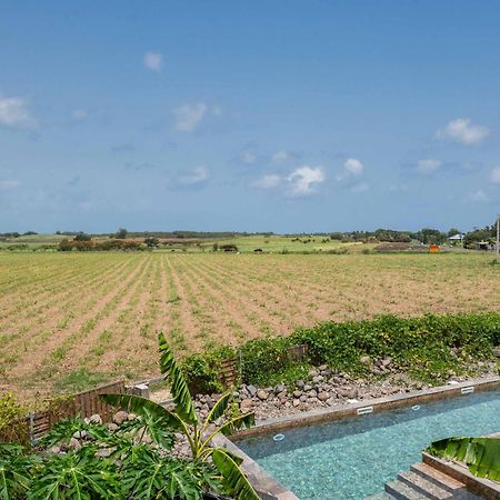 T2 Moderne Avec Piscine Oasis De Nature Et Serenite Petit-Canal エクステリア 写真