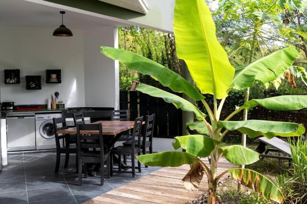 T2 Moderne Avec Piscine Oasis De Nature Et Serenite Petit-Canal エクステリア 写真