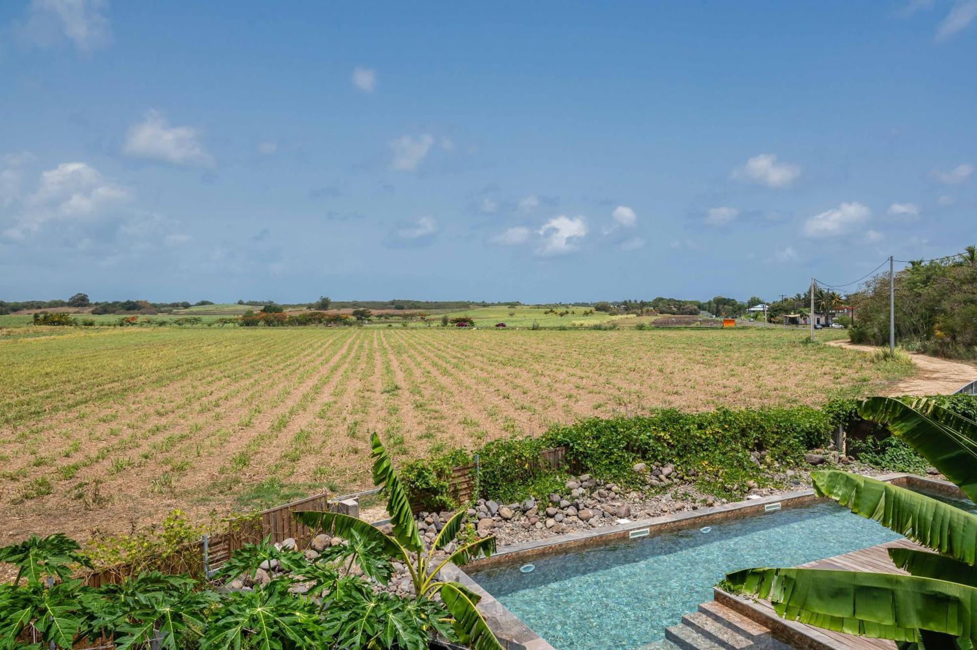 T2 Moderne Avec Piscine Oasis De Nature Et Serenite Petit-Canal エクステリア 写真