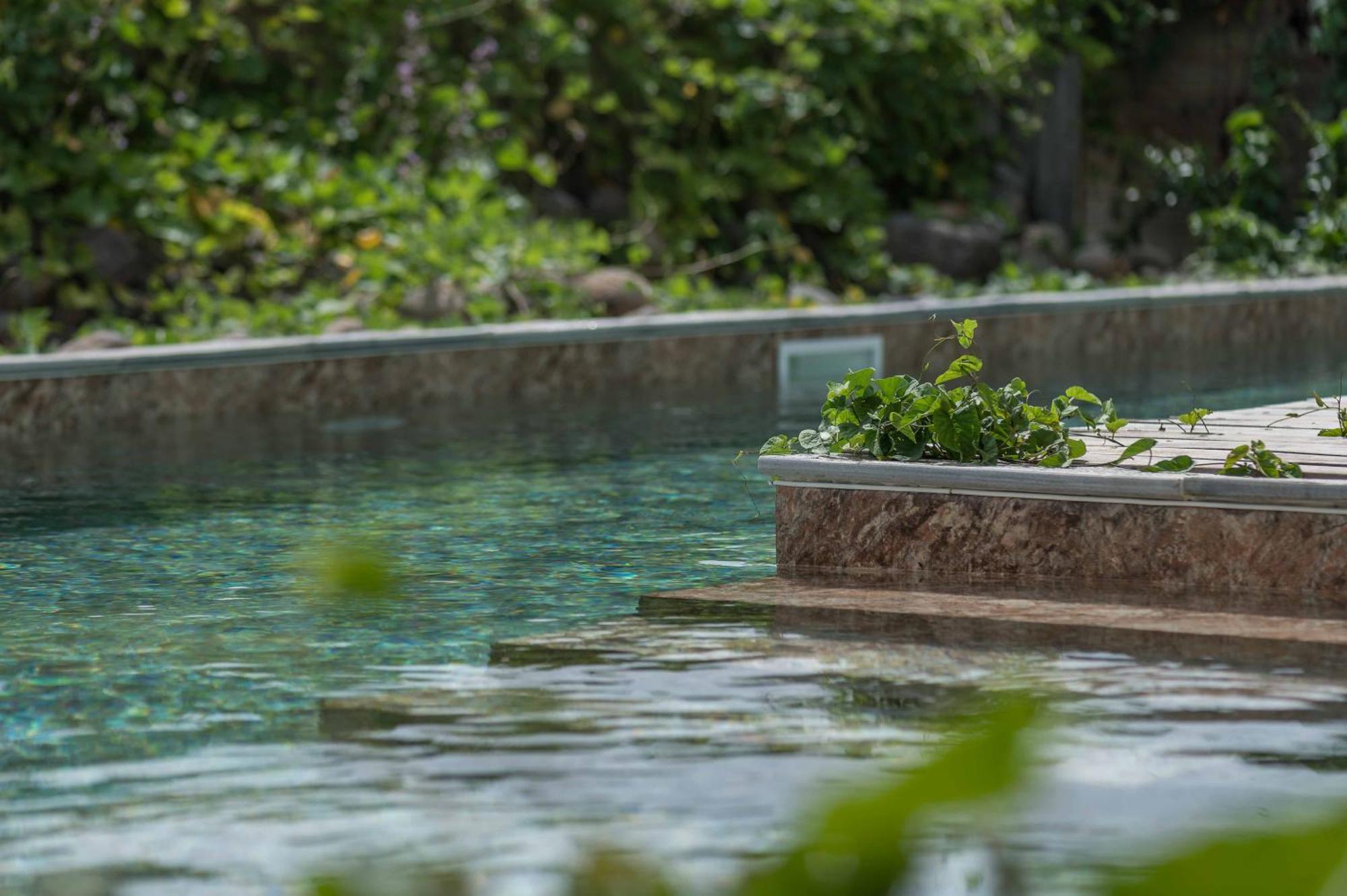 T2 Moderne Avec Piscine Oasis De Nature Et Serenite Petit-Canal エクステリア 写真